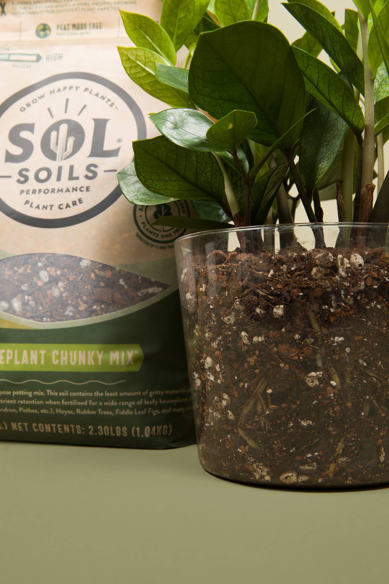 Soil (2Qt) Houseplant Chunky Mix (Aroid/Tropical Soilless): 2 Quarts