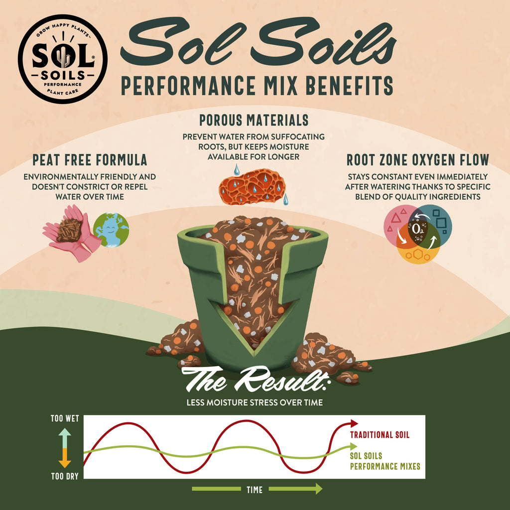 Soil (2Qt) Houseplant Chunky Mix (Aroid/Tropical Soilless): 2 Quarts