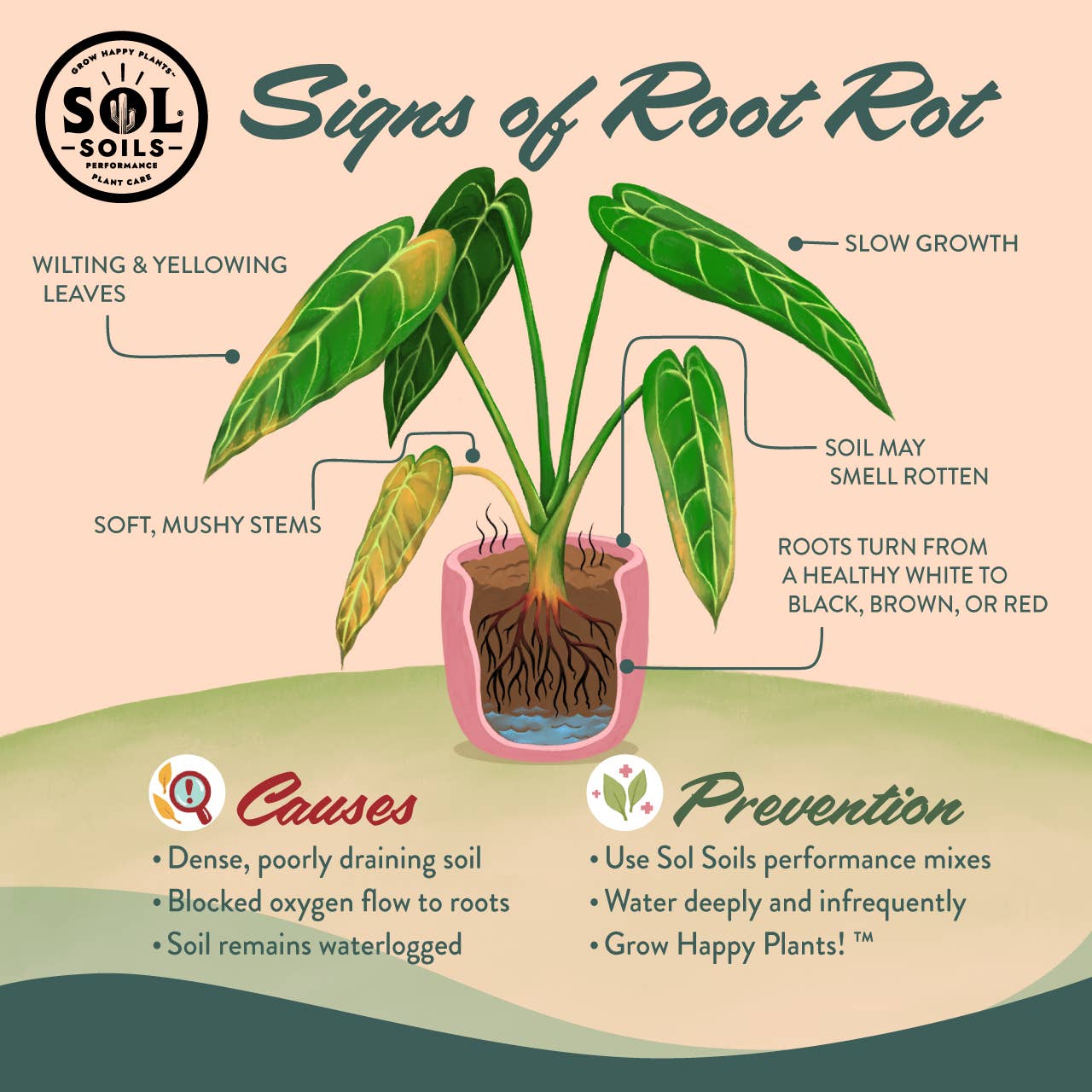 Soil (2Qt) Cactus Gritty Mix (Soilless): 2 Quarts