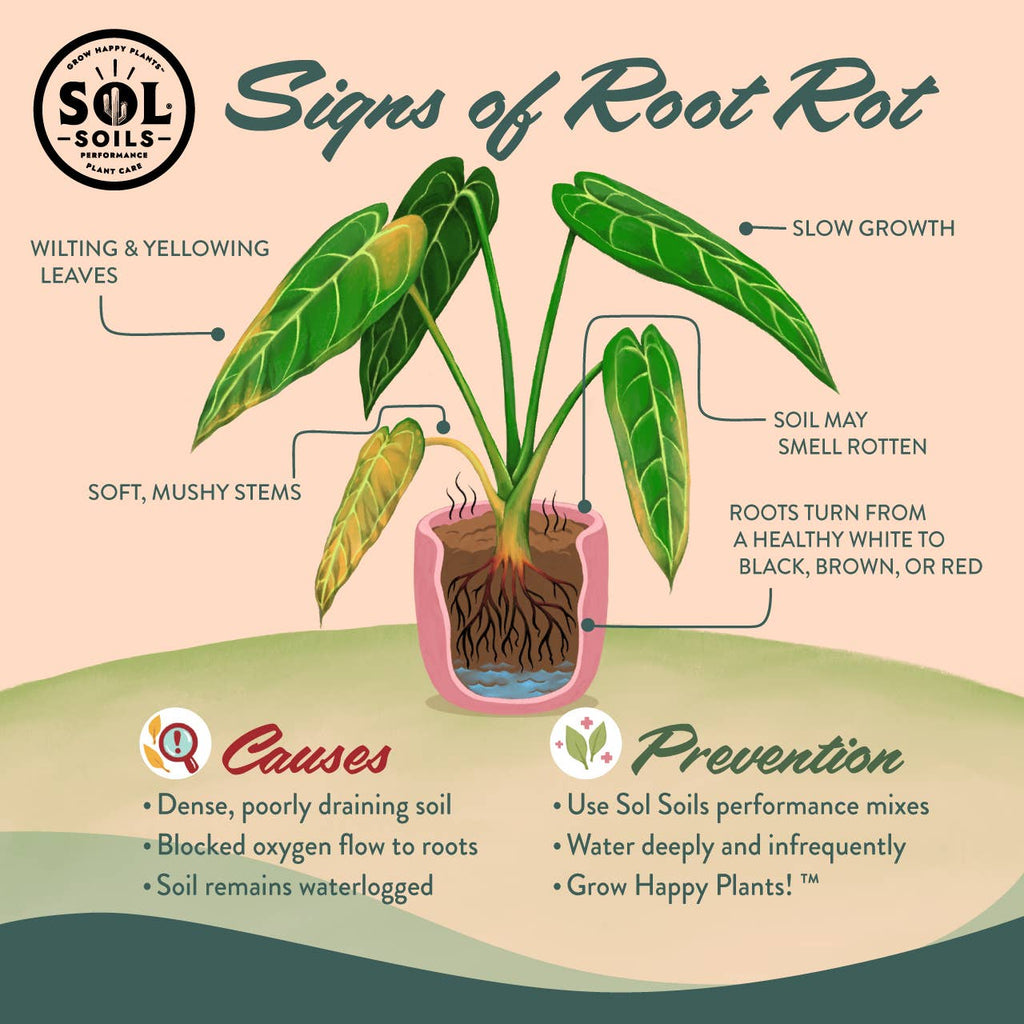 Soil (2Qt) Houseplant Chunky Mix (Aroid/Tropical Soilless): 2 Quarts