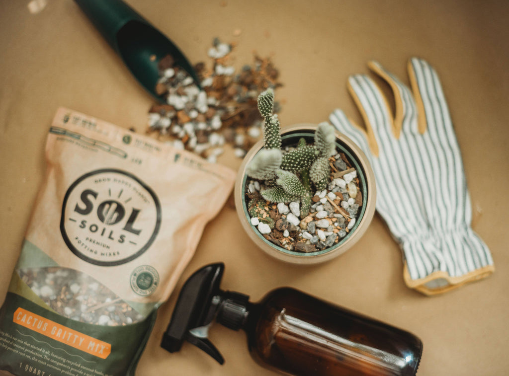 Soil (2Qt) Cactus Gritty Mix (Soilless): 2 Quarts